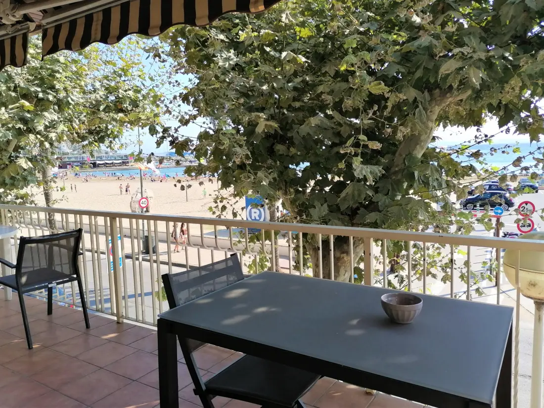 Location de Vacances Roses 266