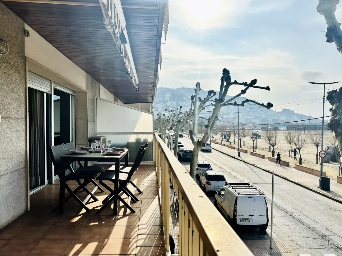 Location de Vacances Roses 266