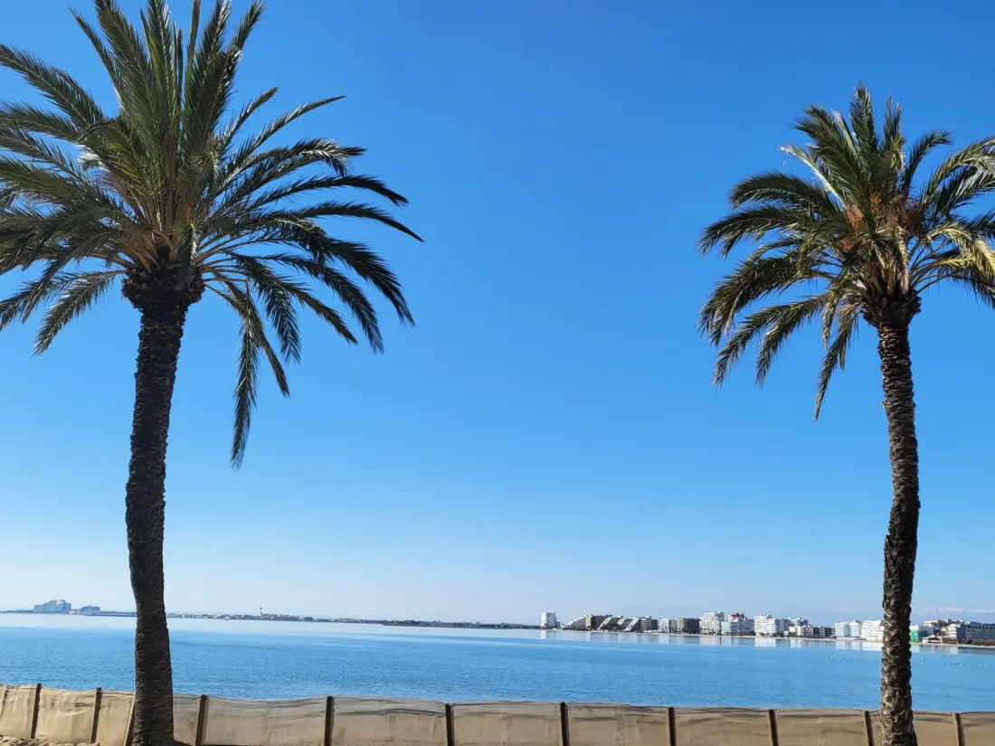 Location de Vacances Roses 267