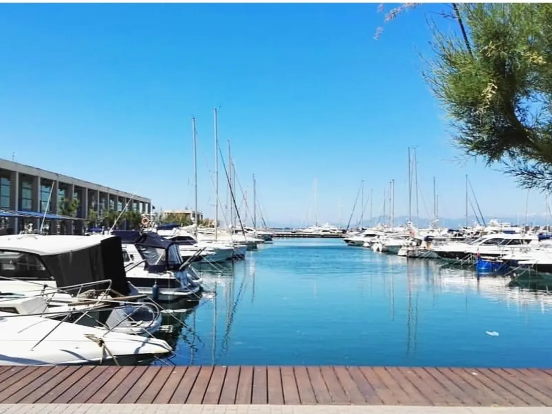 Location de Vacances Roses 267