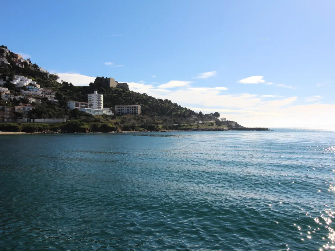 Location de Vacances Roses 267