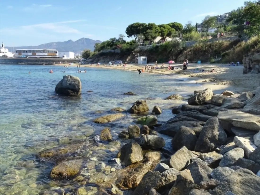 Location de Vacances Roses 267