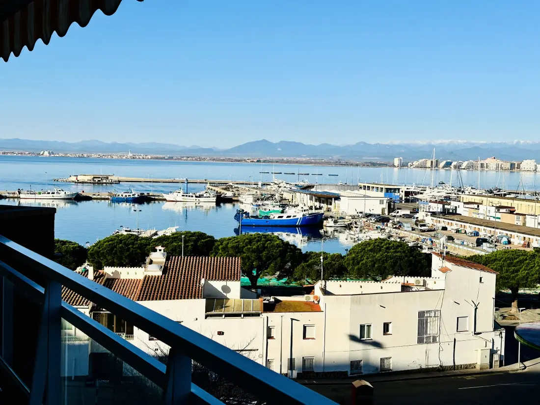 Location de Vacances Roses 267