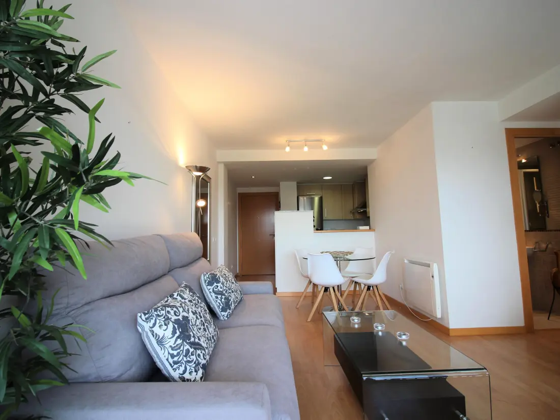 Location de Vacances Roses 282