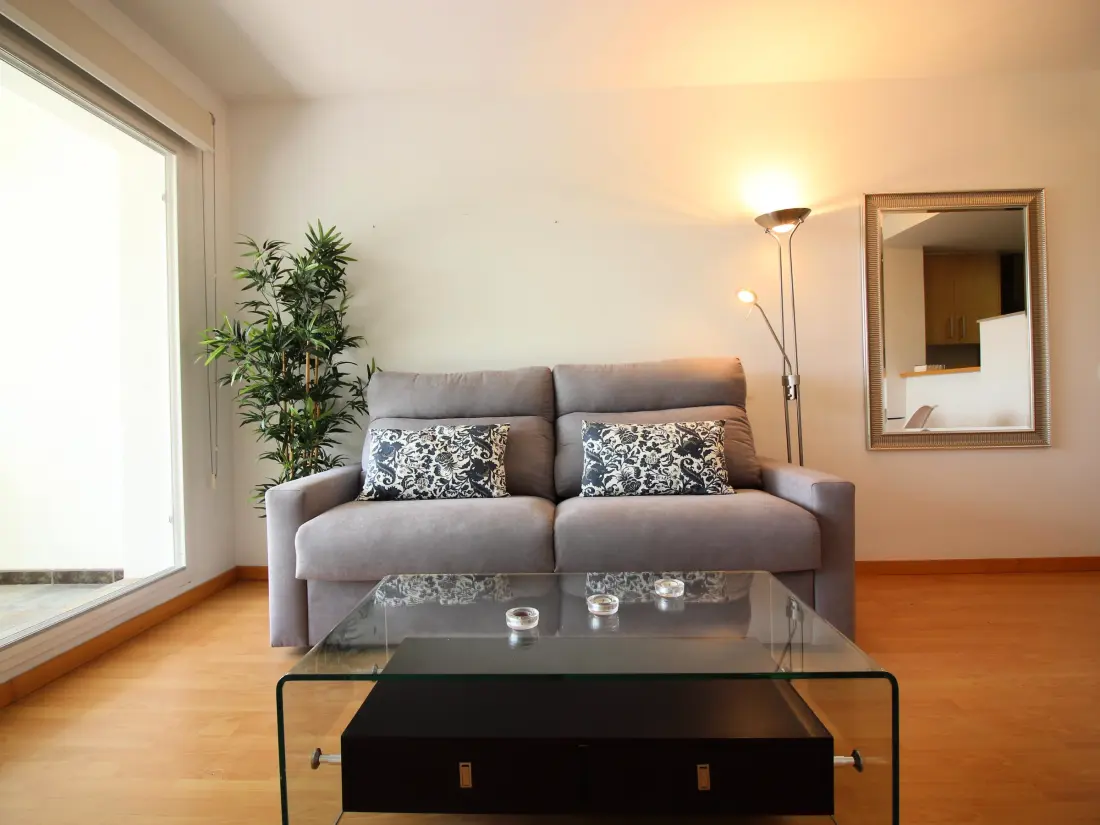 Location de Vacances Roses 282