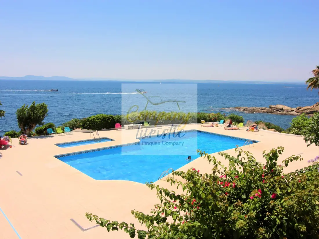 Location de Vacances Roses 299