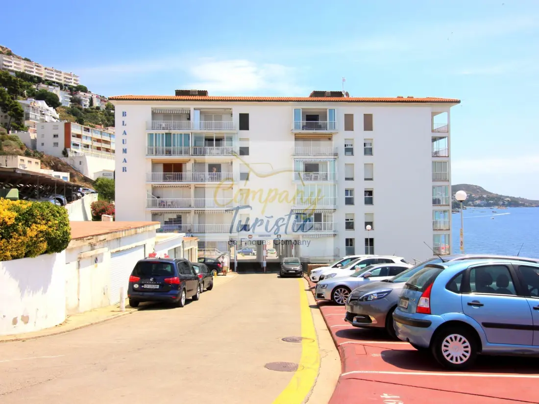 Location de Vacances Roses 299
