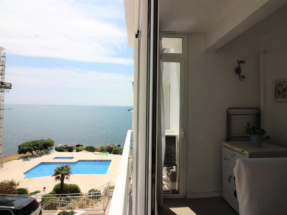 Location de Vacances Roses 299