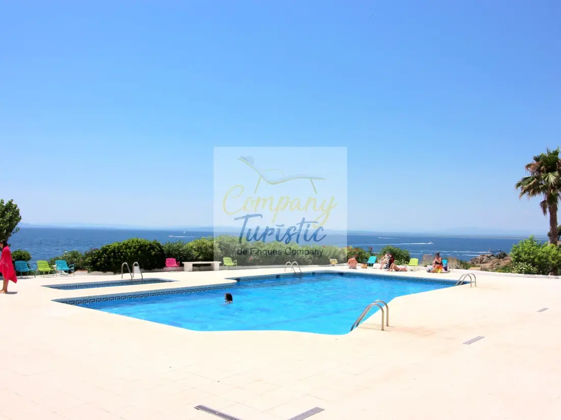 Location de Vacances Roses 299