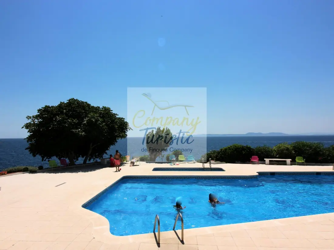 Location de Vacances Roses 299