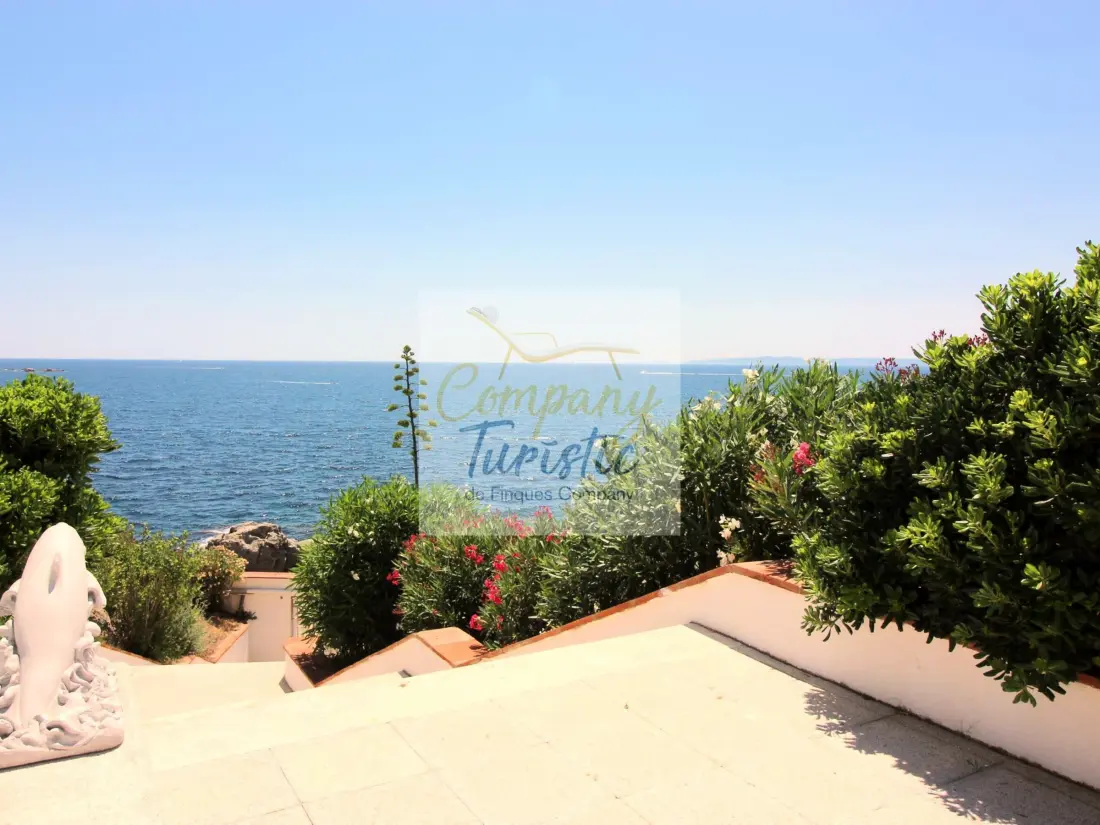 Location de Vacances Roses 299