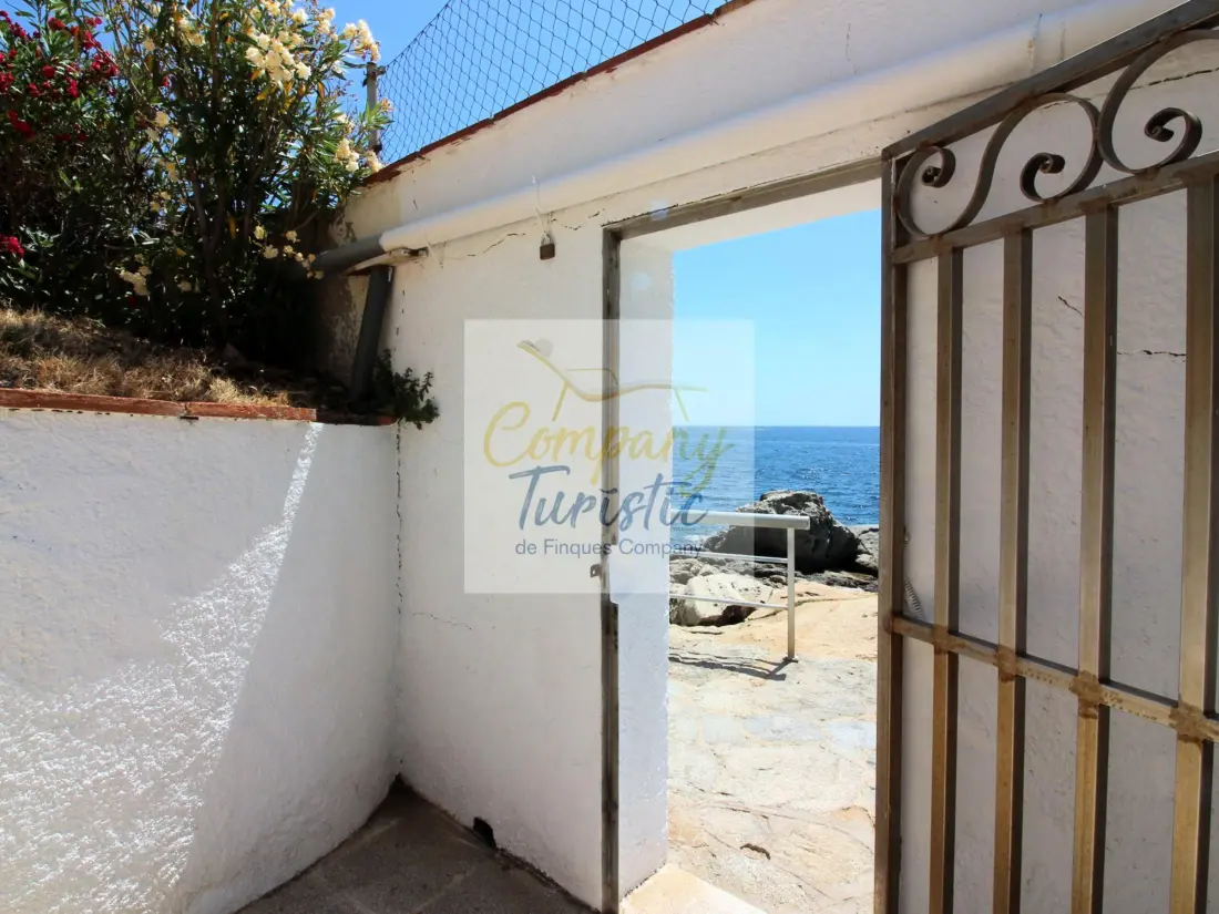 Location de Vacances Roses 299