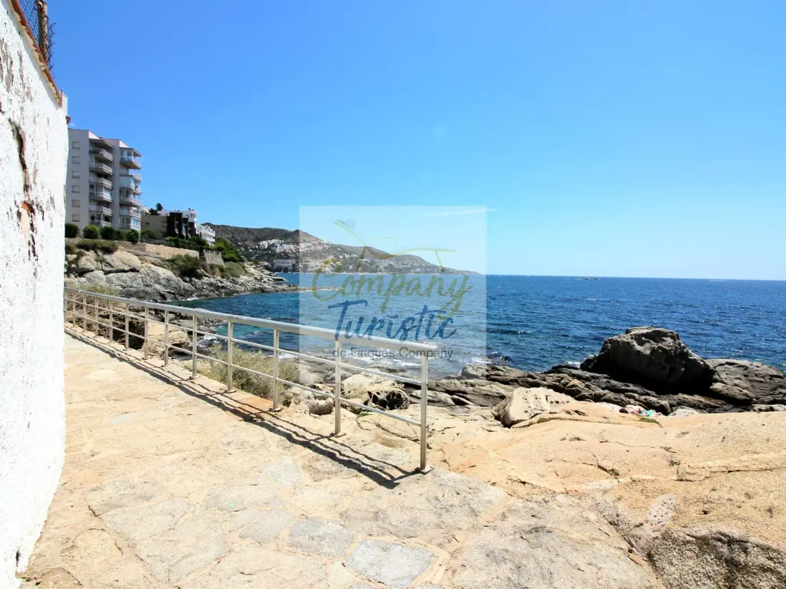 Location de Vacances Roses 299