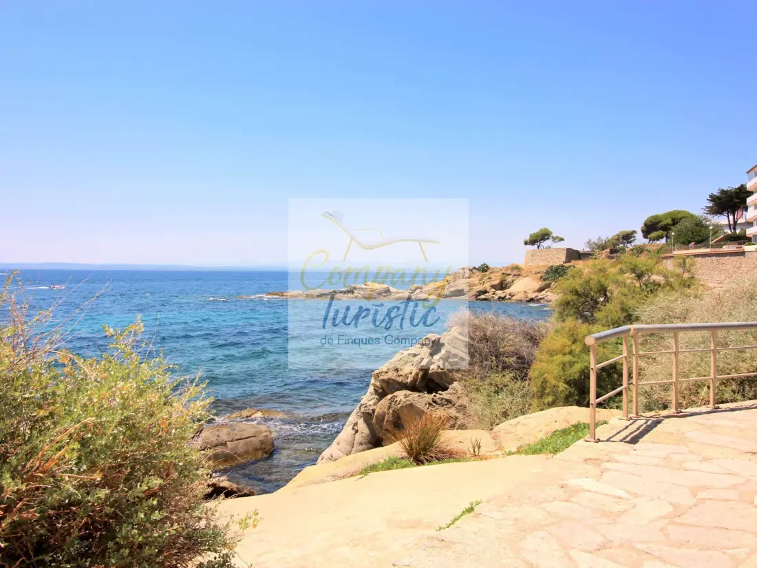 Location de Vacances Roses 299
