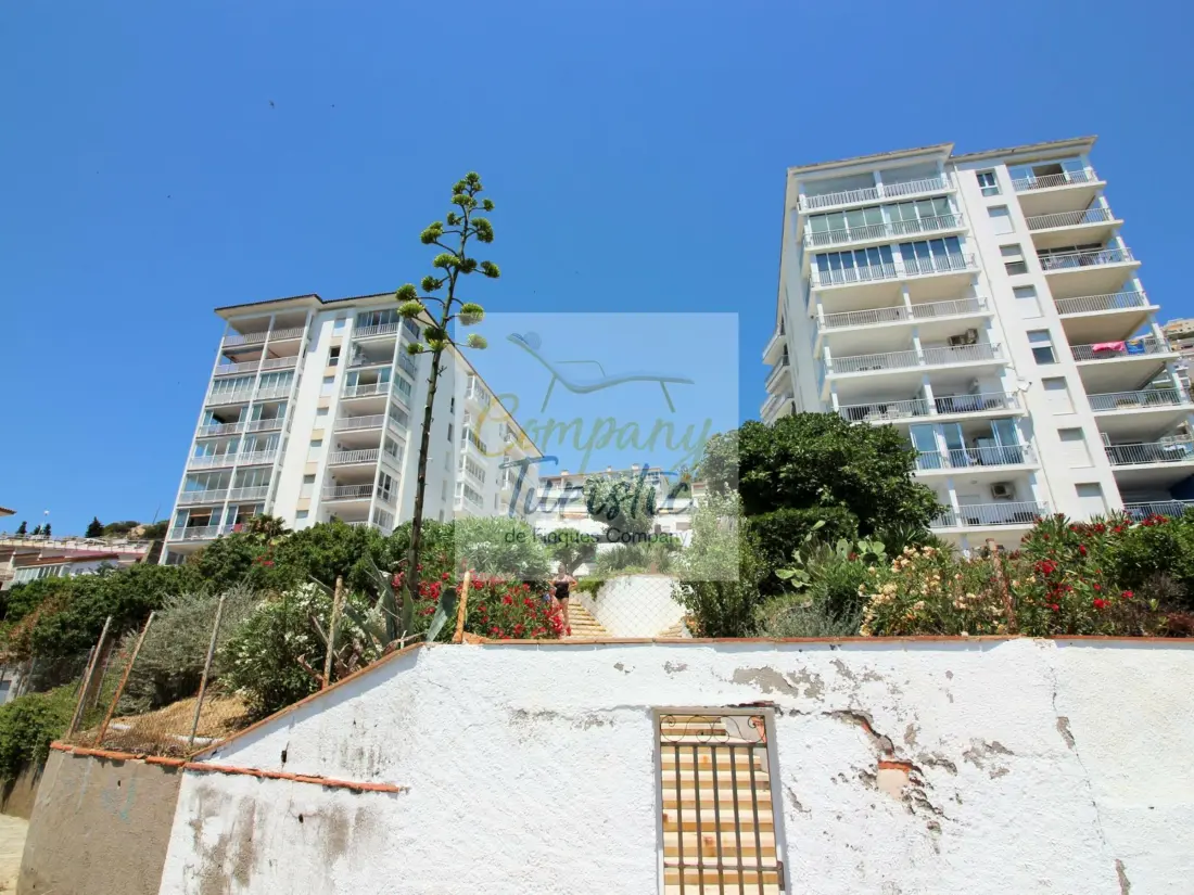 Location de Vacances Roses 299