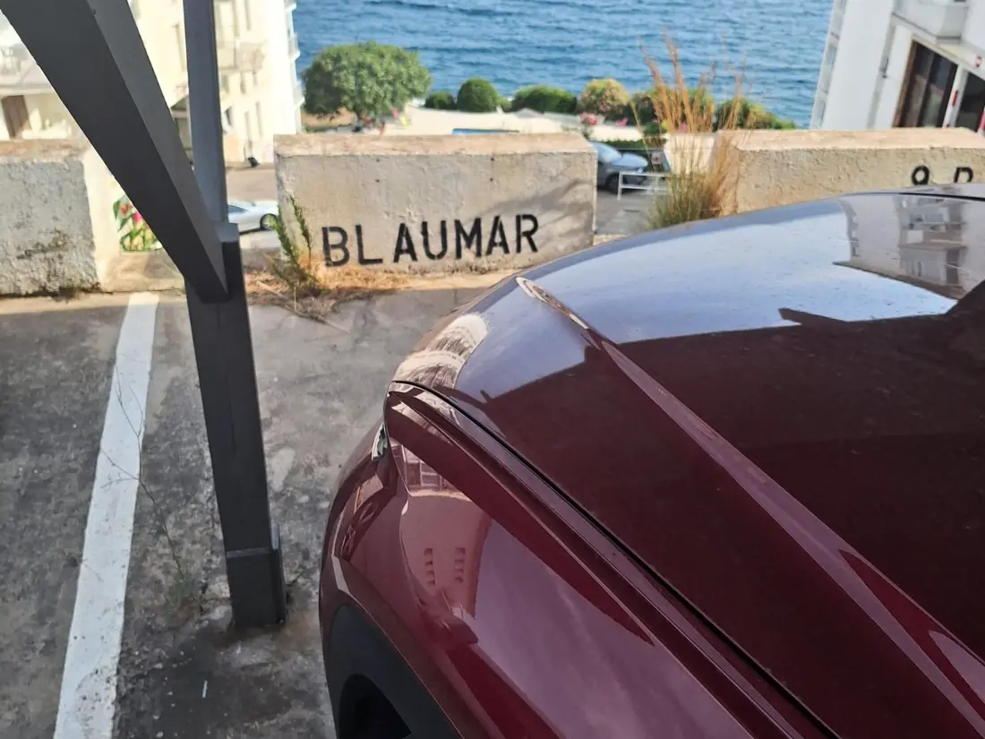 Location de Vacances Roses 299