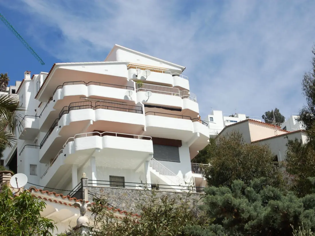 Location de Vacances Roses 311