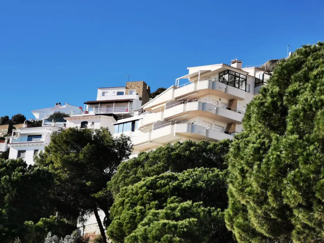 Location de Vacances Roses 311