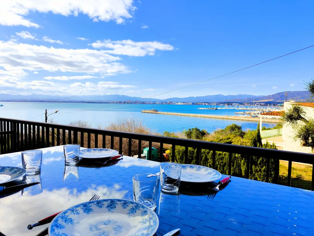 Location de Vacances Roses 318