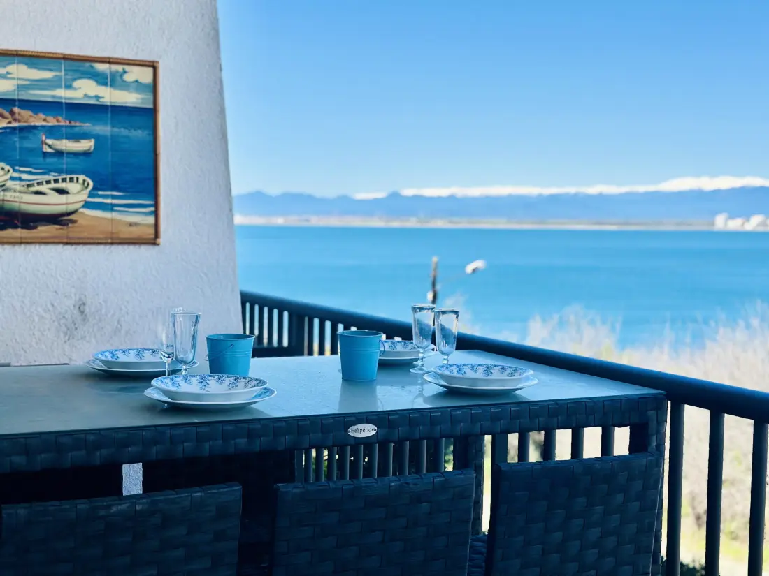 Location de Vacances Roses 318