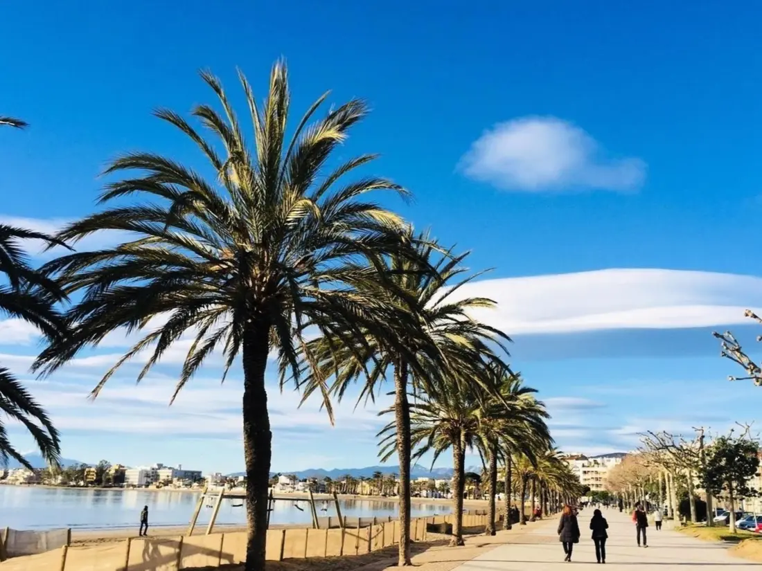 Location de Vacances Roses 318