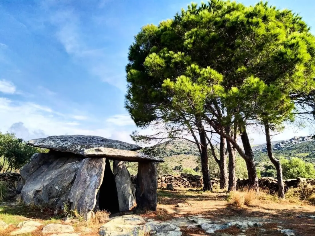 Location de Vacances Roses 318