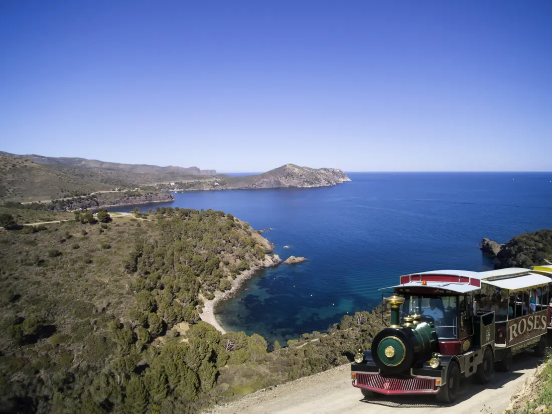 Location de Vacances Roses 321