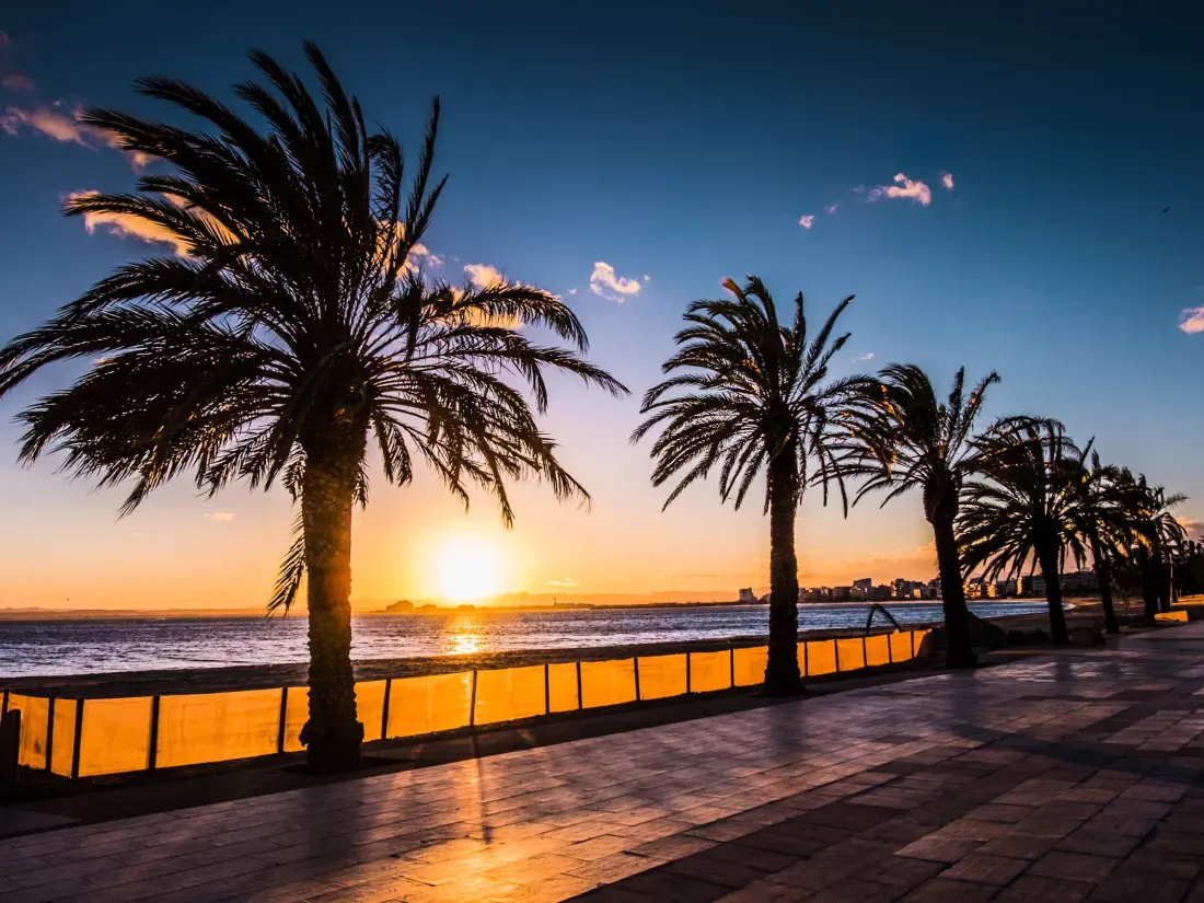 Location de Vacances Roses 321
