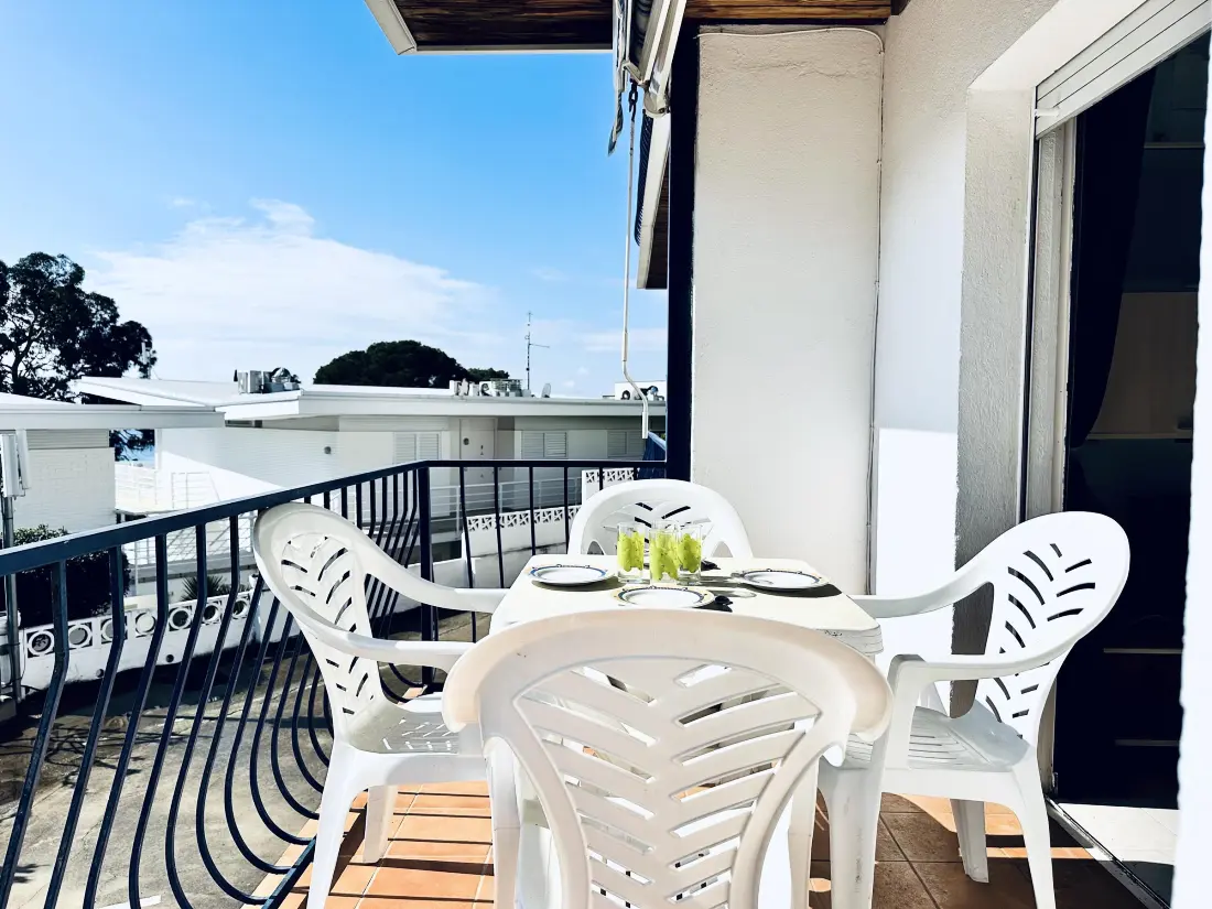 Location de Vacances Roses 339