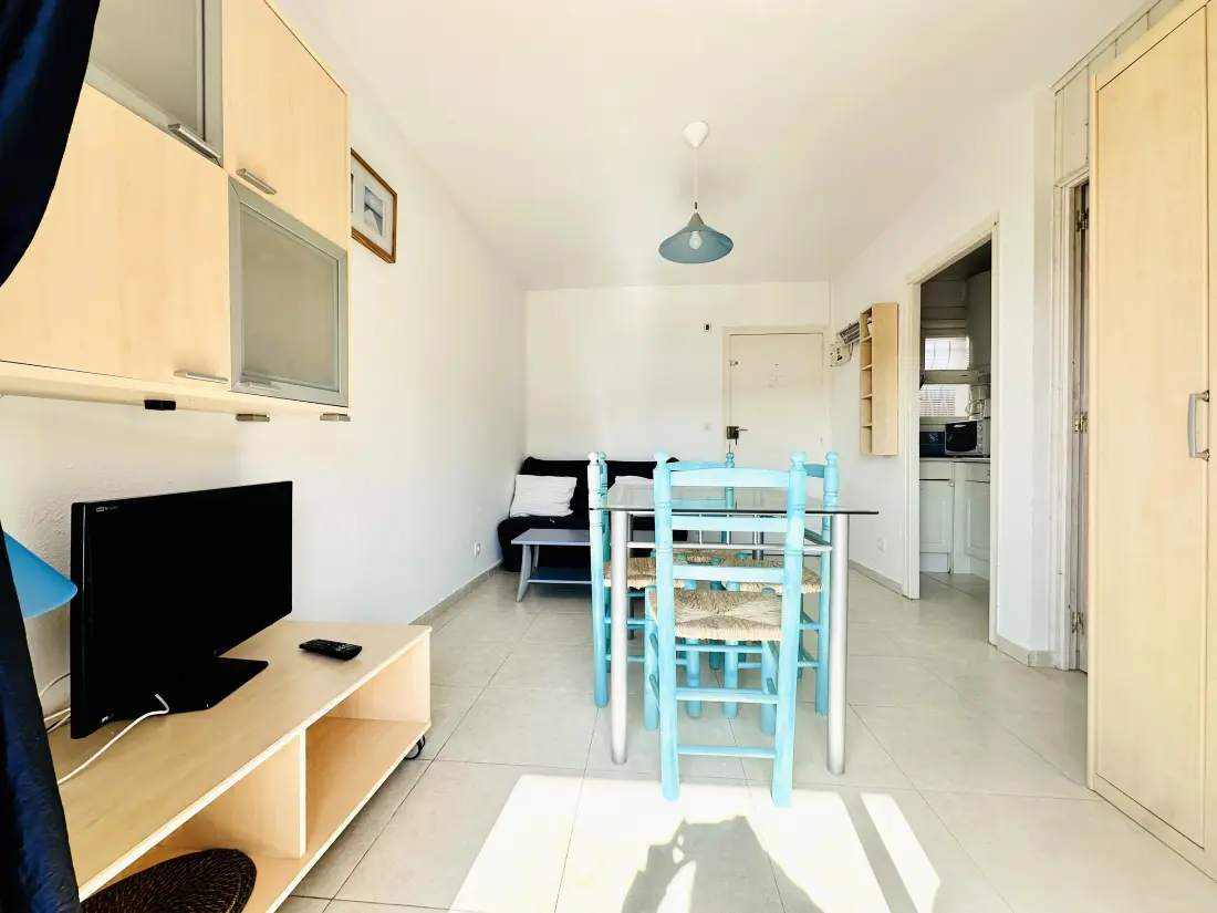 Location de Vacances Roses 339