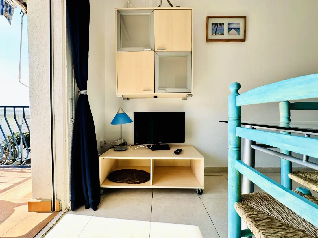 Location de Vacances Roses 339
