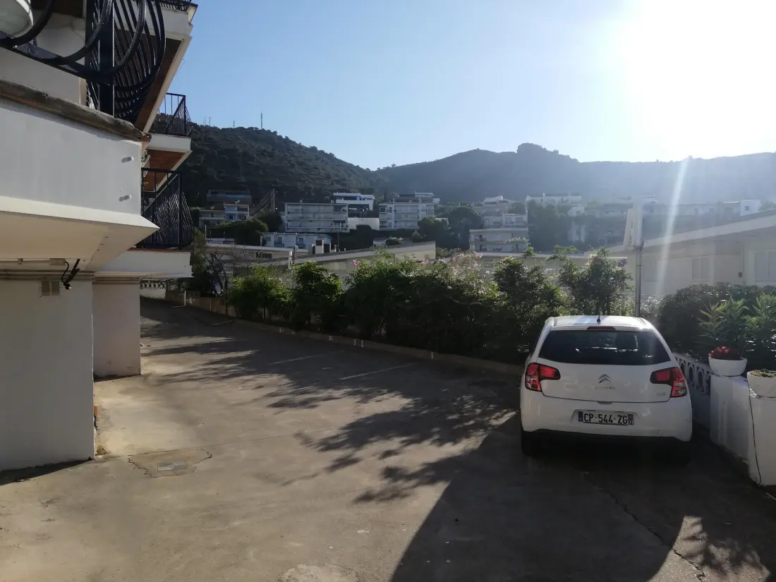 Location de Vacances Roses 339