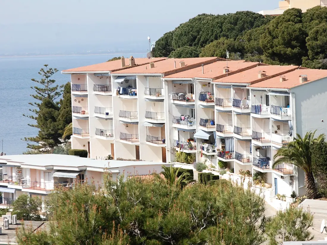 Location de Vacances Roses 339