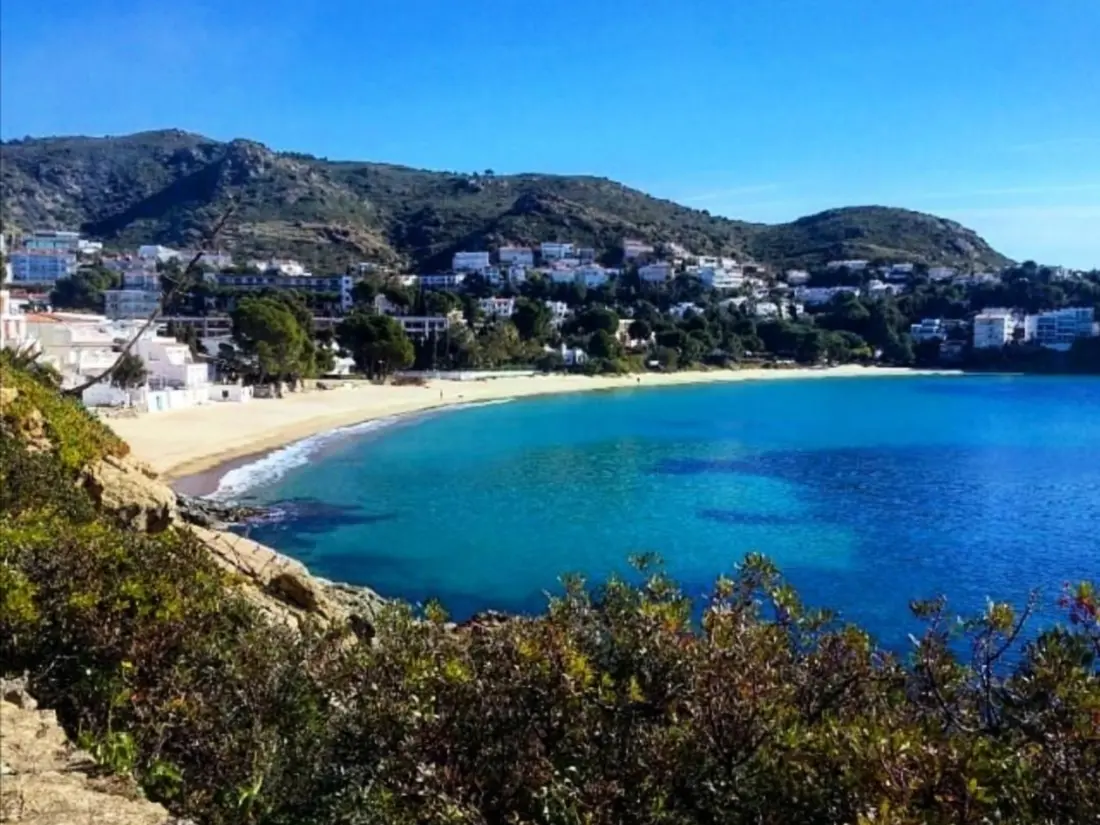 Location de Vacances Roses 339