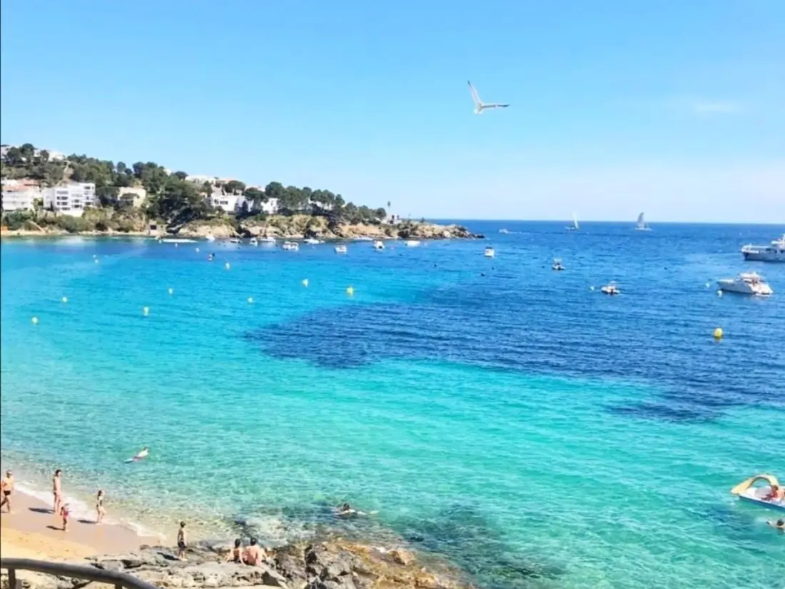 Location de Vacances Roses 339