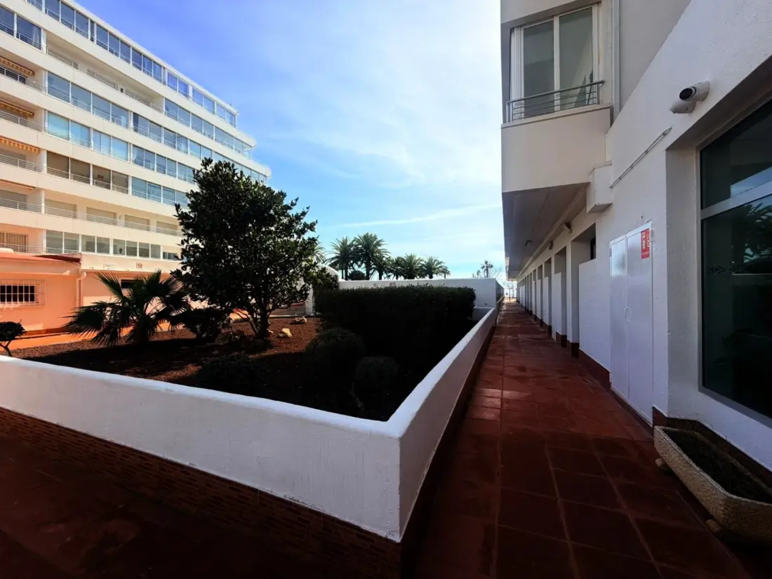 Location de Vacances Roses 366