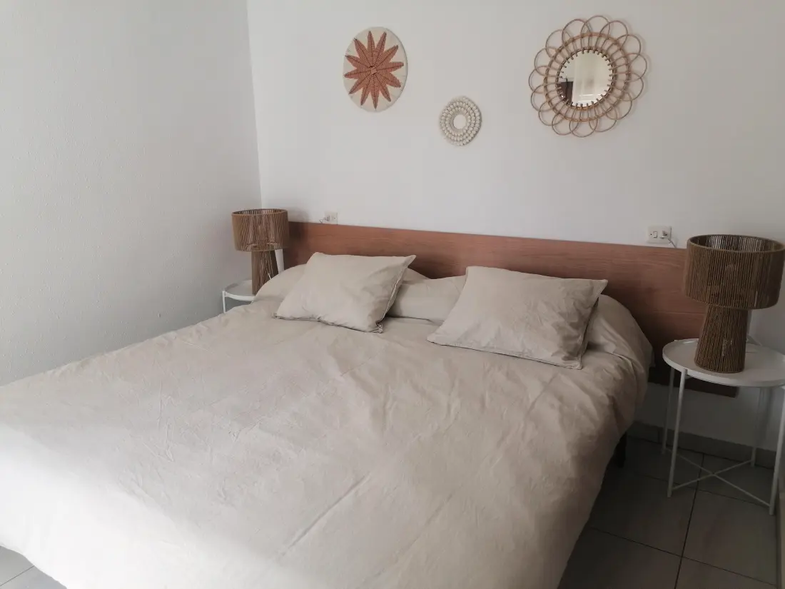 Location de Vacances Roses 368