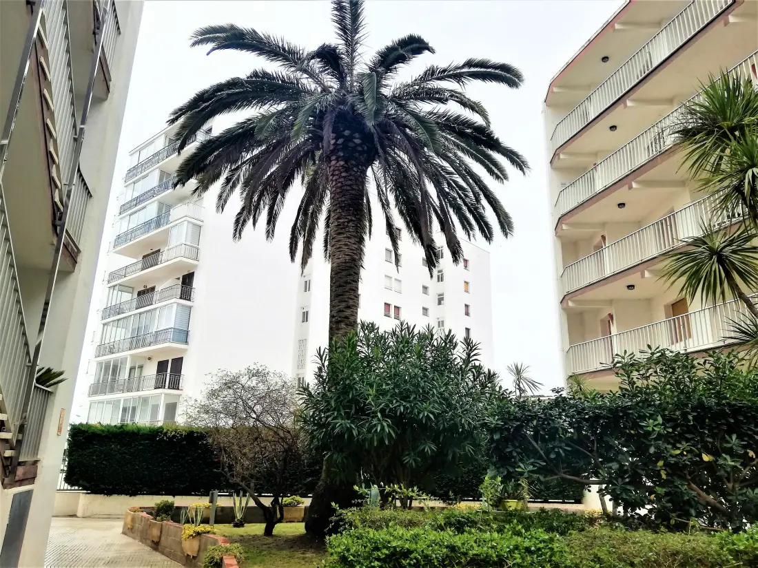 Location de Vacances Roses 368