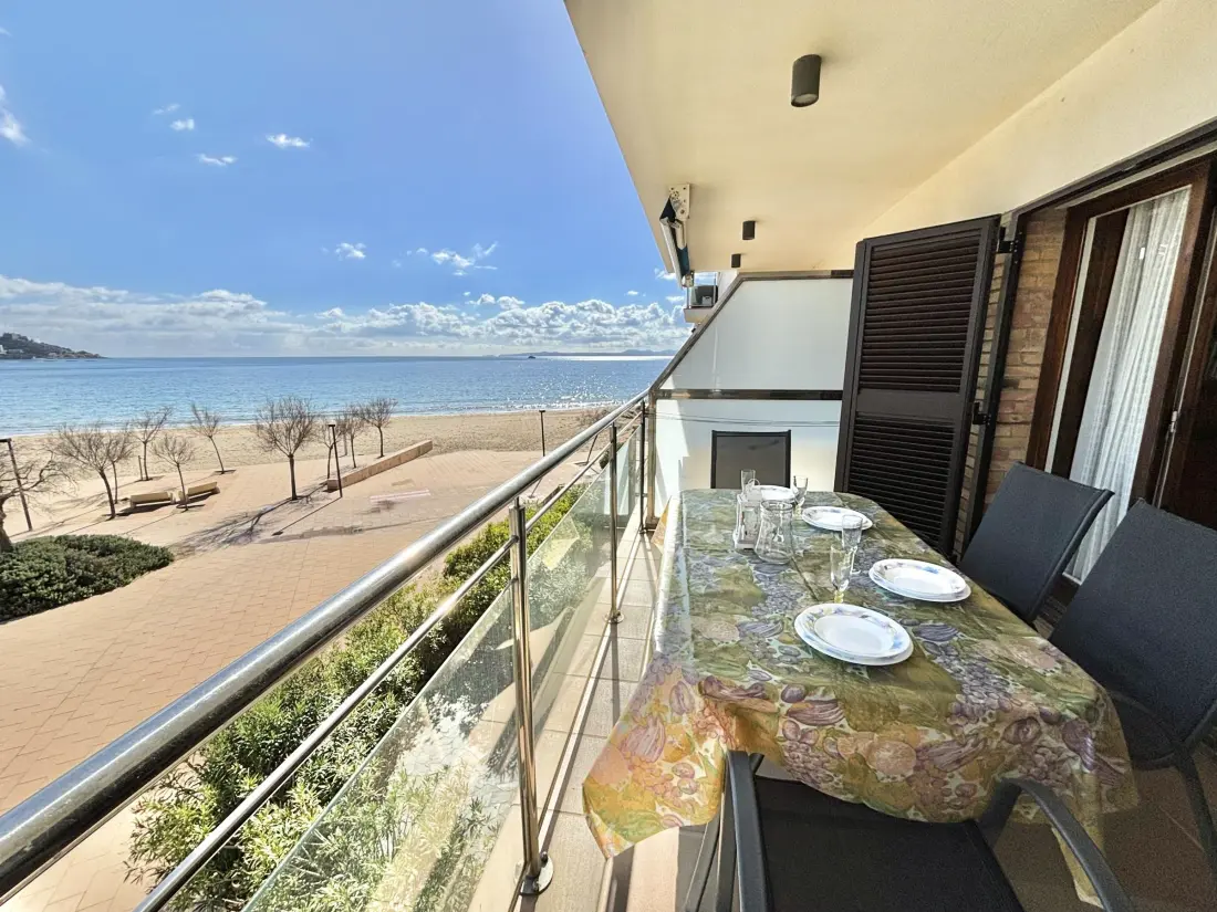 Location de Vacances Roses 375