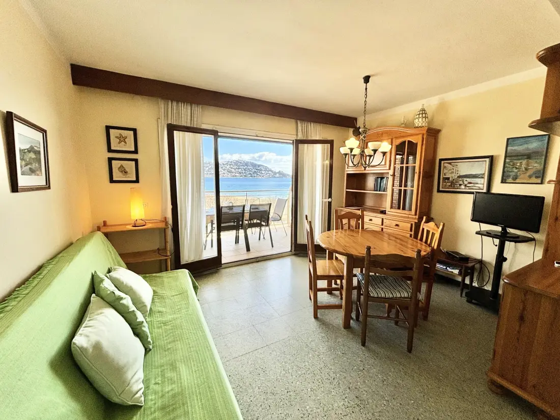 Location de Vacances Roses 375