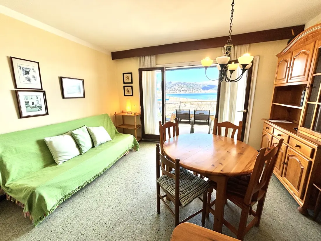 Location de Vacances Roses 375