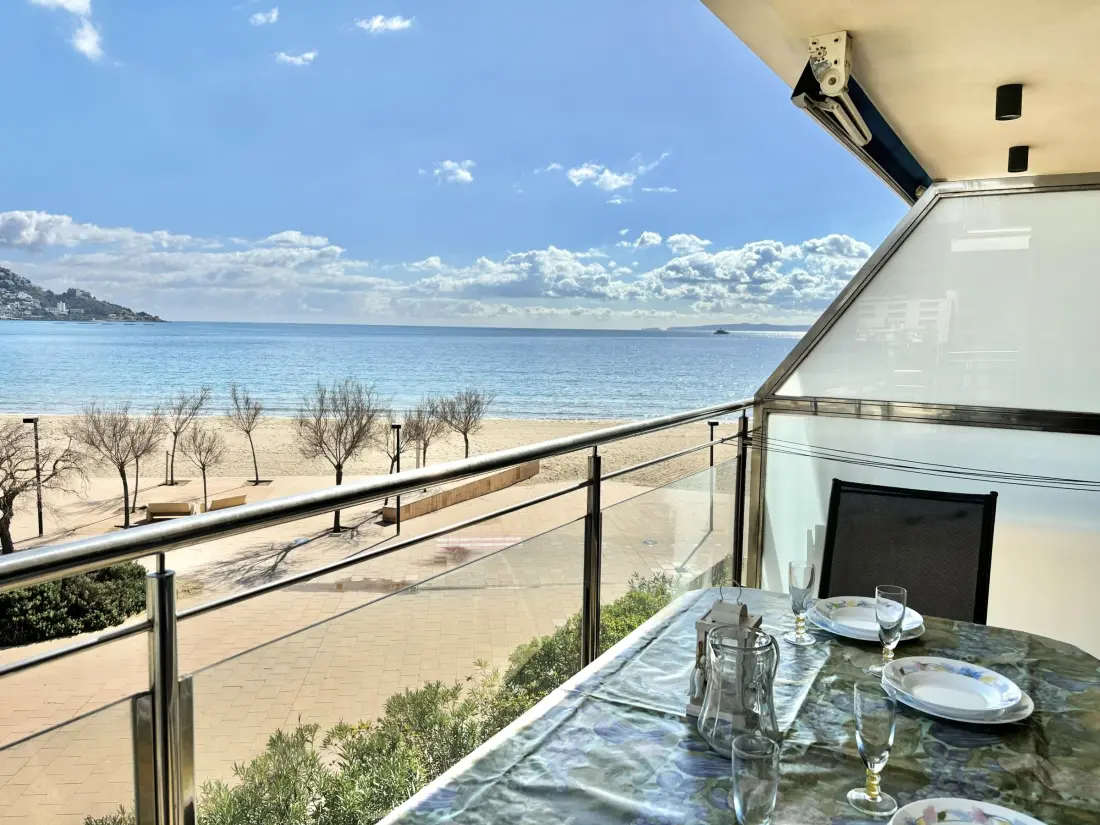 Location de Vacances Roses 375