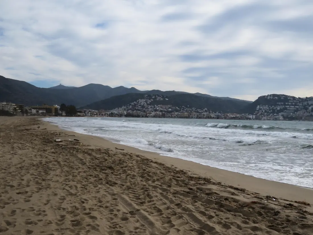 Location de Vacances Roses 375
