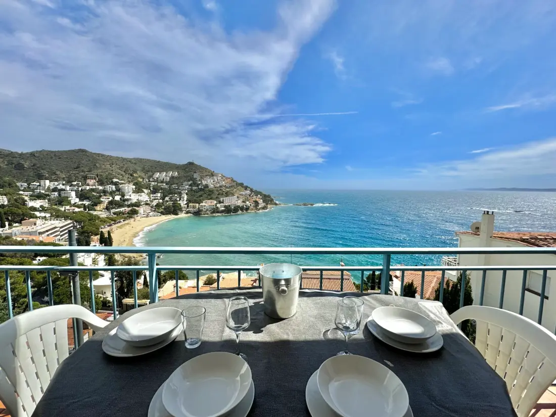 Location de Vacances Roses 377
