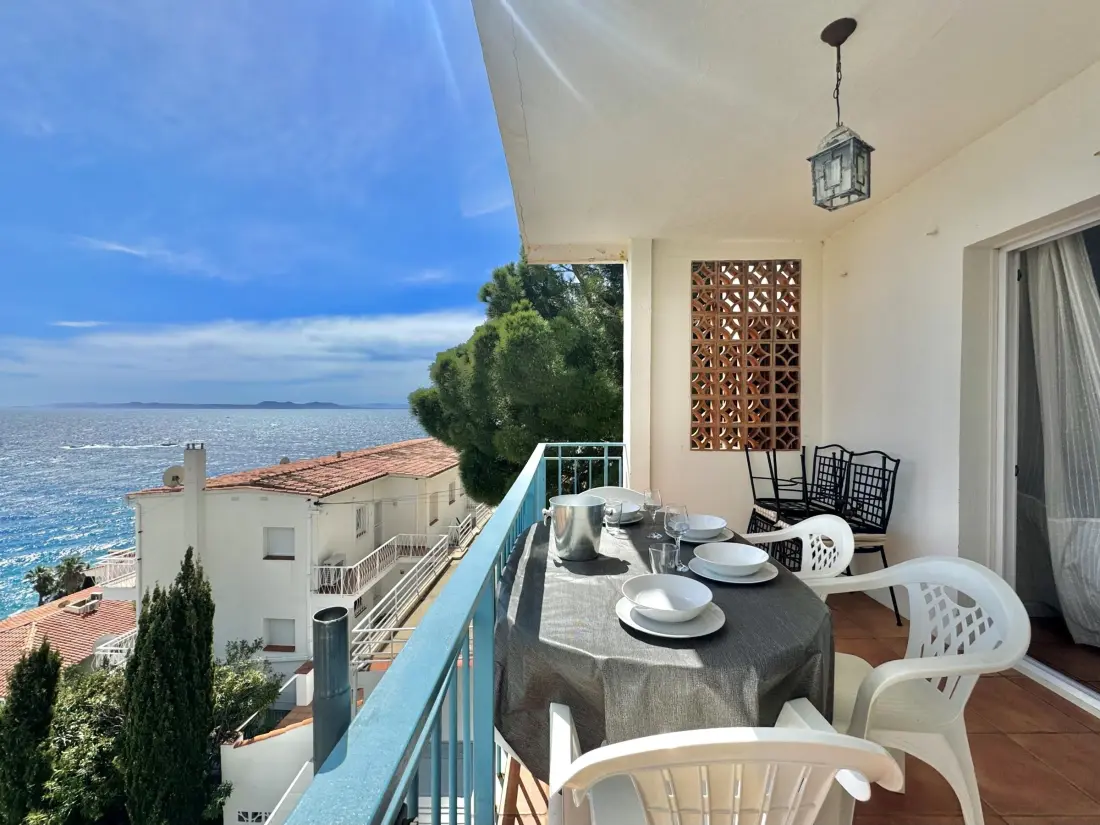 Location de Vacances Roses 377