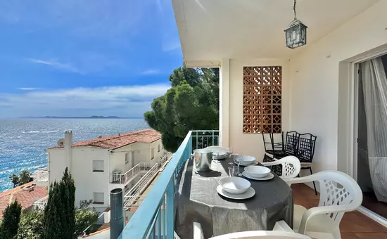 Location de Vacances Roses 377