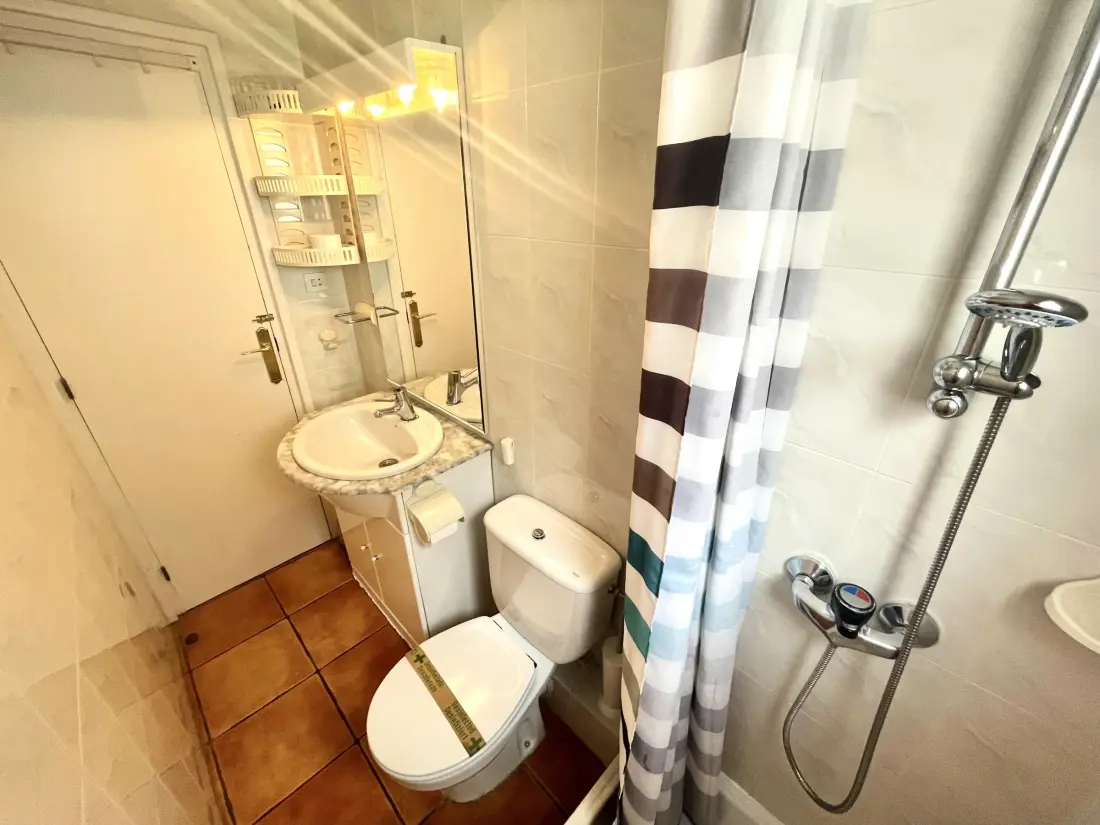 Location de Vacances Roses 377