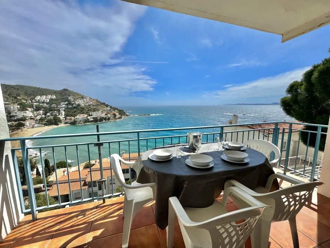 Location de Vacances Roses 377