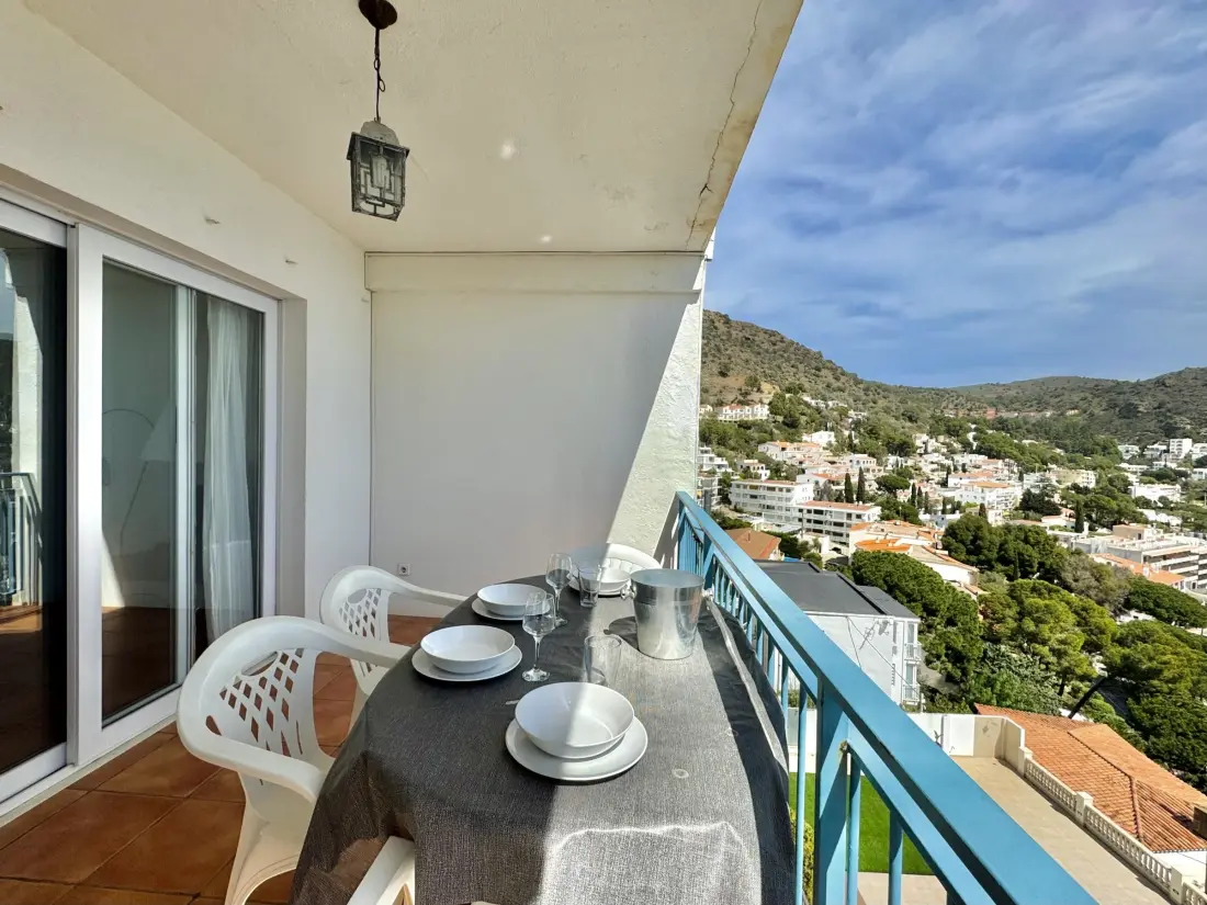 Location de Vacances Roses 377