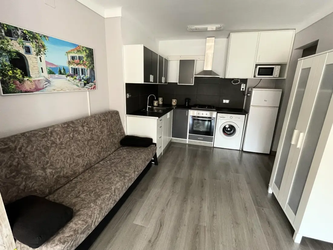 Location de Vacances Roses 382